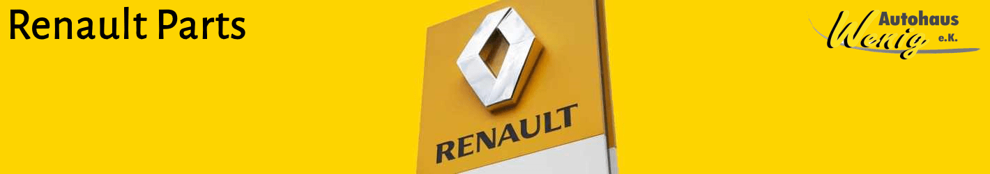 Genuine Spare Parts Renault
